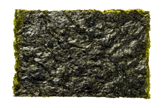 Rectangular sheet of dark, textured seaweed