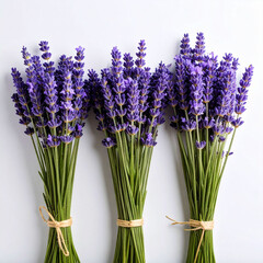 Fototapeta premium the image shows three bunches of purple flowers, arranged side by side on a flat, light surface. each bunch is tied together with a simple strand of natural fiber string