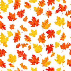 Obraz premium Maple Leaf Seamless Pattern in Red, Orange & Yellow on White