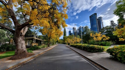 Autumn city park with foliage