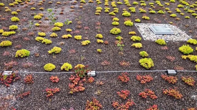 lightning conductor is used to protect buildings from lightning that can damage a house or its electrical equipment is routed to the highest points of a green garden roof, lawn, blossom, meadow, seed