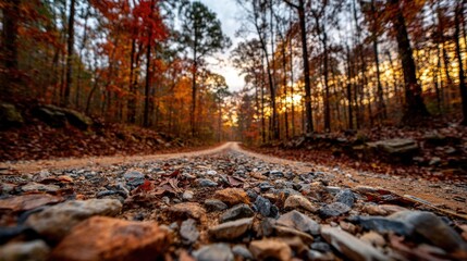 Gravel road through autumn countryside