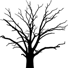 Obraz premium tree silhouette vector