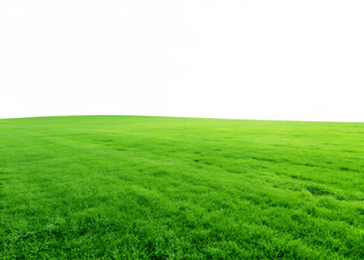 Lush green field on a transparent background. PNG