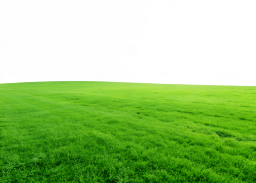 Lush green field on a transparent background. PNG
