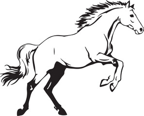 Galloping horse silhouette animal black and white