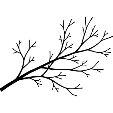 Black silhouette of a bare tree branch with intricate twigs, leafless winter illustration, natural organic design element, vector graphic.