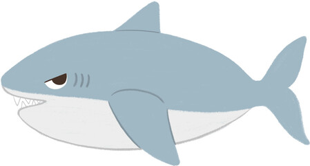 Shark