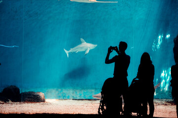 Family watching shark swimming in large aquarium tank