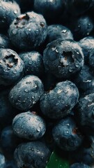 Fresh blueberries close-up 