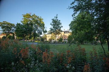 Naklejka premium Urban nature in Umea Sweden showing the peaceful parklands and walking trails by the Ume river in Vasterbotten County.