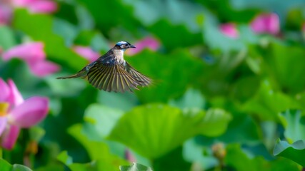 hummingbird and flowers
