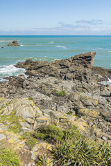 ニュージーランド　ウェスト・コースト地方、ファウルウインド岬にあるオットセイ群落地とタスマン海