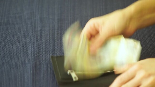 Close-up of female hands counting Serbian dinar banknotes of various denominations and carefully placing them into a wallet. Highlighting themes of financial organization and everyday cash management
