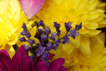 Beautiful vibrant spring flower bouquet featuring yellow chrysanthemums, lavender, and magenta daisies in Nottingham, England.