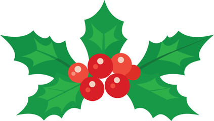 Holly Leaves and Red Berries Vector Illustration.