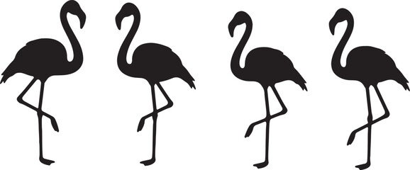 Obraz premium Four black silhouettes of flamingos standing on one leg on a white background bird tropical
