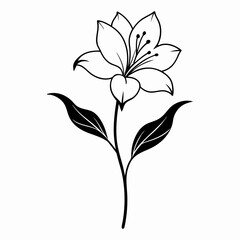 vector illustration of a flower