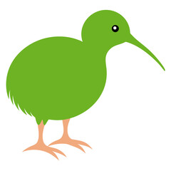 Bird on white background 