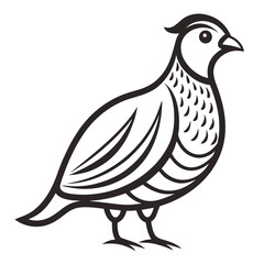 vector illustration of a chicken
