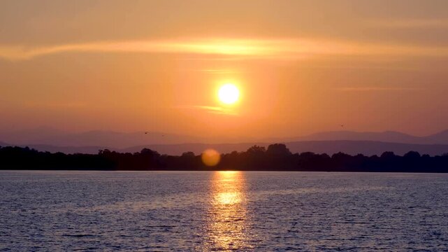 Birds flying home to roost during sunset with orange sky over Parakrama Samudra Lake in Polonnaruwa Sri Lanka
