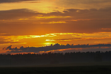 Dramatic sunset over misty forest silhouette in summer evening. Vivid summer sunset with golden clouds and mist over a dark forest skyline in peaceful countryside.