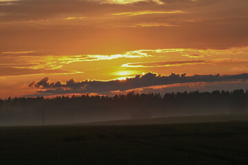Dramatic sunset over misty forest silhouette in summer evening. Vivid summer sunset with golden clouds and mist over a dark forest skyline in peaceful countryside.