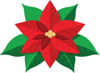 Poinsettia Flower Vector on transfarent.