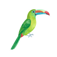 Fototapeta premium Emerald toucanet illustration with a vibrant, multi-colored beak. Stylized green bird standing in profile with watercolor texture.