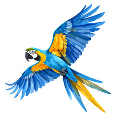 Fototapeta premium Vibrant Blue and Yellow Macaw Parrot in Dynamic Flight Illustration with Detailed Plumage