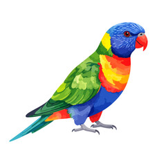 Obraz premium Vibrant Rainbow Lorikeet Parrot with Vivid Blue, Green, Yellow, and Red Plumage