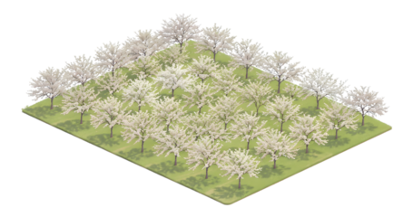 Isometric Apple Orchard with White Blossoms on Green Field Transparent Background