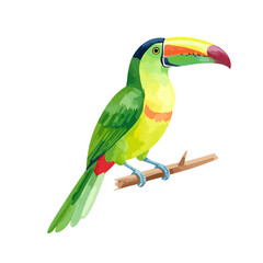 Fototapeta premium Colorful Toucan Perched on a Branch with Distinctive Beak and Plumage