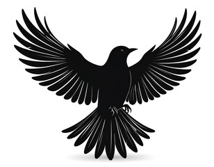 Obraz premium Majestic Silhouette of a Bird in Flight with Graceful Wings and Tail Feathers