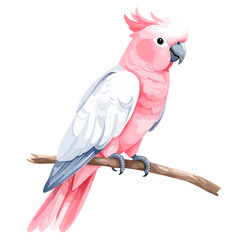 Elegant pink Galah cockatoo with white wings and a prominent crest, perched on a simple brown branch.