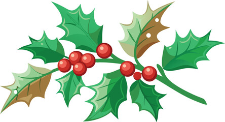 Winter Frosted Holly Branch And Berries Vector Art.