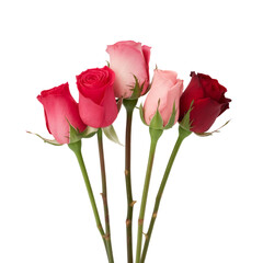 A vibrant red roses with delicate petals and a green leaf stands out against a white background, symbolizing love and beauty