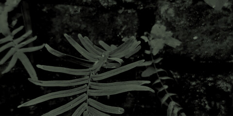 Painted red wall background. Modern abstract red water color background.	