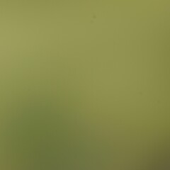 Soft Green Environmental Gradient