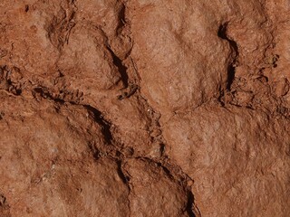 Cracked Dry Earth Abstract Texture