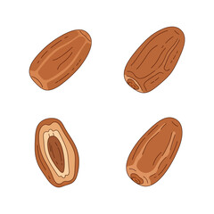 Dates Brown Fruits in Various Angles Isolated on White