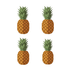 Four Fresh Pineapples Tropical Fruit Arrangement