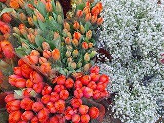 Beautiful red tulips and fresh Baby's breath flowers at the South Korea's flower market