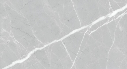 Title: Close-Up of Gray Marble with Prominent White Veining

