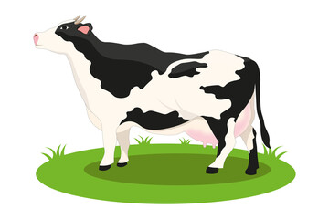 illustration of cow vector cartoon