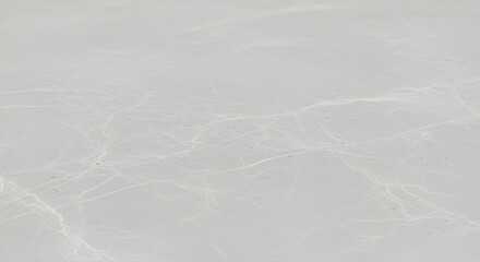 Title: Close-Up of Gray Marble with Prominent White Veining

