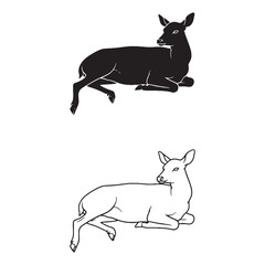 Detailed Deer Silhouette & Deer Lineart – Deer Vector Composition Featuring Natural Antler Spread – Deer Illustration – Silhouette and Lineart Set of Deer

