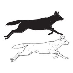 Curated Dhole Silhouette & Dhole Lineart – Dhole Vector Style with Balanced and Sleek Canine Form – Dhole Illustration – Silhouette and Lineart Set of Dhole

