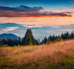 Dramatic summer sunrise on Carpathian Mountains, Ukraine, Europe. Pictureasque morning scene of Ukrainian countrysidde. Beauty of nature concept background.