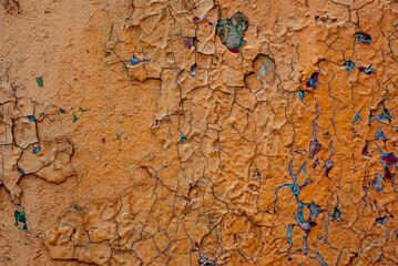 texture of the old wood